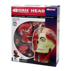Акція на Об'ємна модель 4D Master Голова людини (FM-626103) від Будинок іграшок