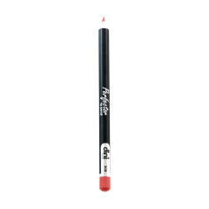 Акция на Олівець для губ Dini Perfector Lip Pencil 308, 2 г от Eva