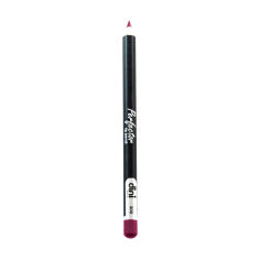 Акція на Олівець для губ Dini Perfector Lip Pencil 309, 2 г від Eva