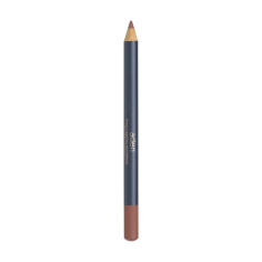 Акція на Олівець для губ Aden Cosmetics Lip Liner Pencil 29 Chinchilla, 1.14 г від Eva