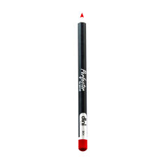 Акція на Олівець для губ Dini Perfector Lip Pencil 301, 2 г від Eva