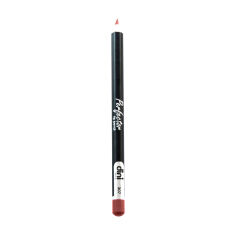 Акция на Олівець для губ Dini Perfector Lip Pencil 307, 2 г от Eva