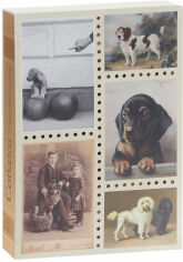 Акция на Собаки. Старинные открытки и иллюстрации от Stylus