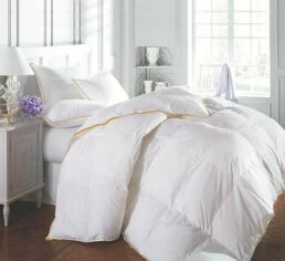 Акція на Ковдра MirSon 110х140 см пухова Raffaello White 062 від Rozetka