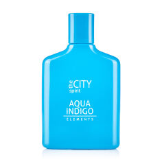 Акція на The City Spirit Elements Aqua Indigo Туалетна вода чоловіча, 100 мл від Eva