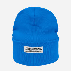 Акция на Дитяча шапка-біні демісезонна для хлопчика Anmerino TREND 4085 50-52 см Блакитна от Rozetka