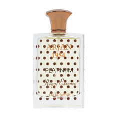 Акция на Noran Perfumes Arjan 1954 Platinum Парфумована вода унісекс, 100 мл (ТЕСТЕР) от Eva