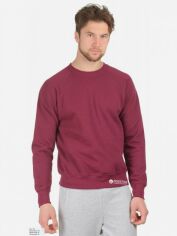 Акція на Світшот чоловічий Fruit of the loom 062216041 Raglan Sweat XL Бордовий від Rozetka