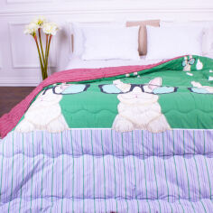 Акція на Одеяло зимнее антиаллергенное Eco-Soft 5815 Color Fun Line Nice MirSon 220х240 см вес 2350 г від Podushka