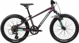 Акция на Велосипед Orbea MX 20 XC 2022 Purple - Mint от Rozetka