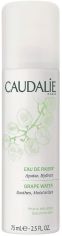 Акція на Увлажняющая виноградная вода Caudalie для всех типов кожи 75 мл (3522930001225) від Rozetka UA