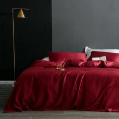 Акція на Підковдра MirSon №19-1655 Garnet Mikrosatin Premium Однотонна 175х210 від Rozetka
