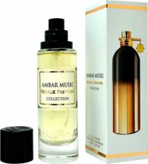 Акція на Парфумована вода унісекс Morale Parfums Ambar Muski версія Montale Amber Musk 30 мл (3130065646893/4820269860148) від Rozetka