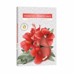 Акція на Ароматична свічка Bispol Scented Candle Hibiscus - White Sage, 6 шт (p15-356 a6) від Eva