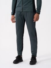 Акція на Спортивні штани чоловічі 4F Trousers Fnk M330 4FAW23TFTRM330-22S 2XL Сірі від Rozetka