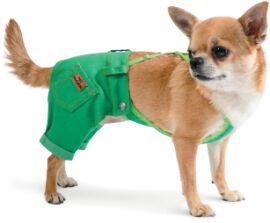 Акція на Брюки для собак Pet Fashion АРНИ XS-2 зеленые (4823082410446) від Stylus