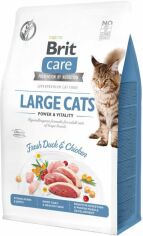 Акция на Сухой корм Brit Care Cat Gf Large cats Power & Vitality для котов крупных пород 7 кг (8595602540907) от Stylus