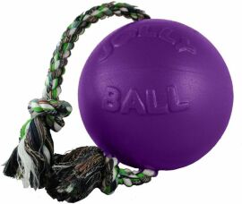 Акція на Игрушка для собак Jolly Pets мяч с канатом Ромпей-н-Ролл 22х45х22 см Фиолетовый (608PRP) від Stylus