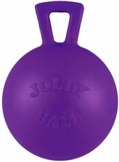 Акция на Іграшка для собак Jolly Pets Таг-н-Тос гиря Фіолетова 10 см (404PRP) от Y.UA