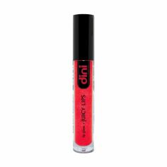 Акція на Блиск для губ Dini Juicy Lips Lip Gloss 13, 3.2 г від Eva