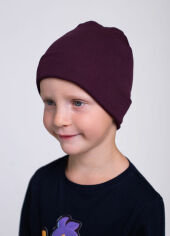 Акция на Дитяча демісезонна шапка-біні для хлопчика Vidoli K2012W 48 80-92 см Сливова от Rozetka