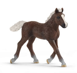 Акція на Ігрова фігурка Schleich Шварцвальдське лоша (13899) від Будинок іграшок