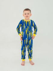 Акція на Дитяча піжама для хлопчика Smil 104523 92 см Малюнок від Rozetka