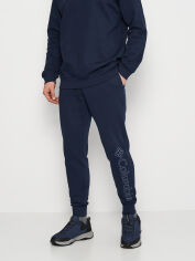 Акція на Спортивні штани утеплені чоловічі Columbia M CSC Logo Fleece Jogger II 1911601-468 S Сині від Rozetka