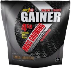 Акция на Power Pro Gainer 4000 g /100 servings/ Шоколад от Stylus