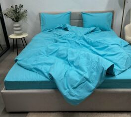 Акція на Підковдра Novita Євро 200х210 Зимова колекція Super Soft Фланель SB-134 Sky blue Ecotton від Rozetka
