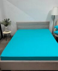 Акція на Простирадло на гумці Novita 160x200 см SB-134 Зимова Колекція Super Soft Фланель Sky blue Ecotton від Rozetka