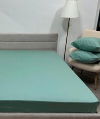 Акція на Простирадло на резинці Novita Фланель 160х200 Зимова колекція Super Soft SB-200 Mint від Rozetka