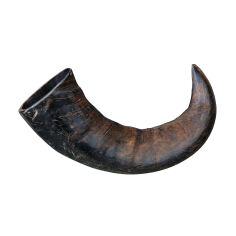 Акция на Ласощі для собак Trixie Buffalo Chewing Horn Ріг буйвола, великий, 178 г от Eva