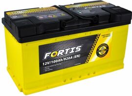 Акція на Fortis 100 Ah/12V (0) Euro (FRT100-00) від Y.UA